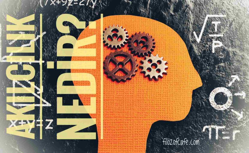 Rasyonalizm Temsilcileri