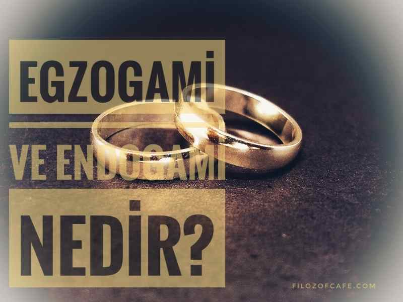 egzogami endogami ne demektir