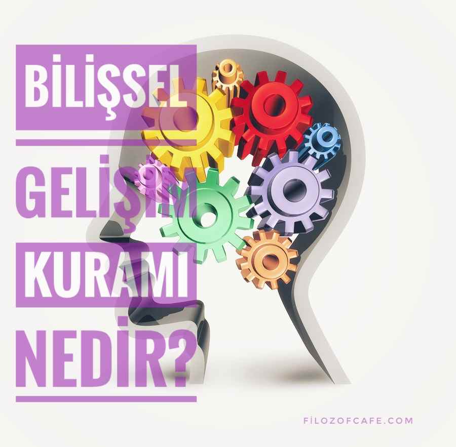 bilişsel gelişim yaklaşımı