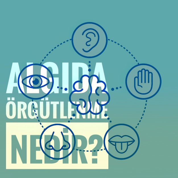 Algıda Organizasyon Nedir?